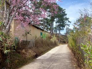 Lô đất view rừng thông 3000m2 ngay trung tâm tp đà lạtcó 400m2 xd  30tỷ. cách hồ xuân hương 4km