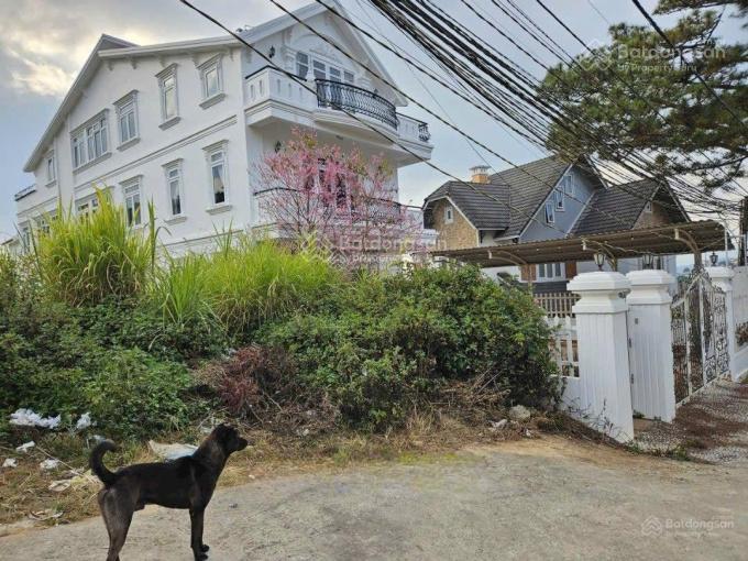 Lô đất xây dựng khu biệt thự trịnh hoài đức  p11  đà lạt  ngay trung tâm, cách hồ xuân hương 3km