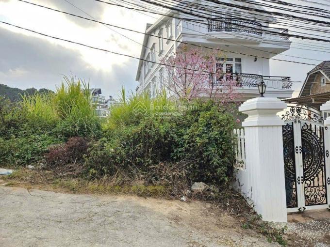 Lô đất xây dựng khu biệt thự trịnh hoài đức  p11  đà lạt  ngay trung tâm, cách hồ xuân hương 3km
