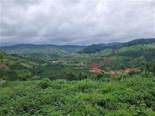 Lô đất view rừng thông 4600m chân đèo tà nung cách tp chỉ 12km gần các khu du lịch,...