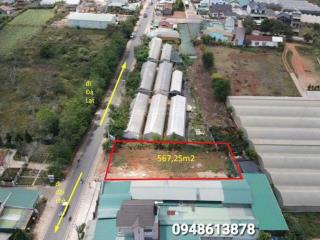 Lô đất mặt tiền xuân thọ đà lạt [ q.lộ 20] 567m ngay đường hoa mai anh đào giá tốt 12,5 tỷ