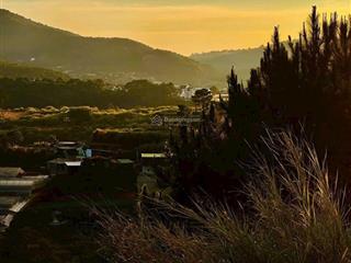 Lô đất xây dựng nam hồ 348m phường 11 ngay trung tâm tpgiá tốt 11 tỷ 2. thích hợp nghỉ dưỡng