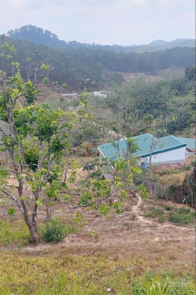 Lô đất nghỉ dưỡng view rừng thông xuân thọ đà lạt 1000m có 300m thổ cư 9 tỷ 8 giá tốt
