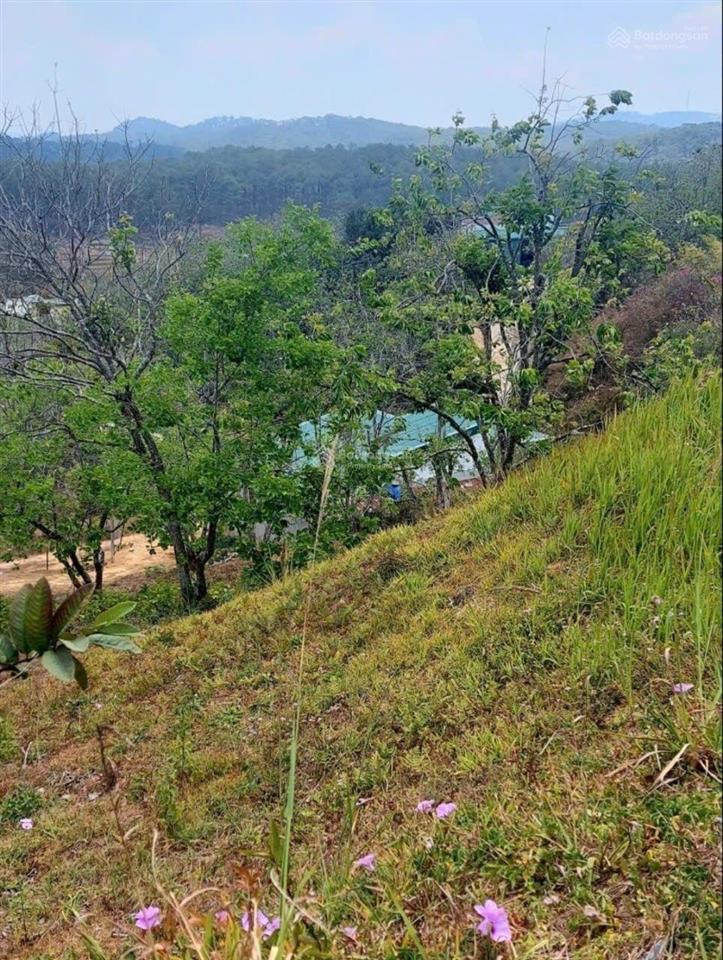 Lô đất nghỉ dưỡng view rừng thông xuân thọ đà lạt 1000m có 300m thổ cư 9 tỷ 8 giá tốt
