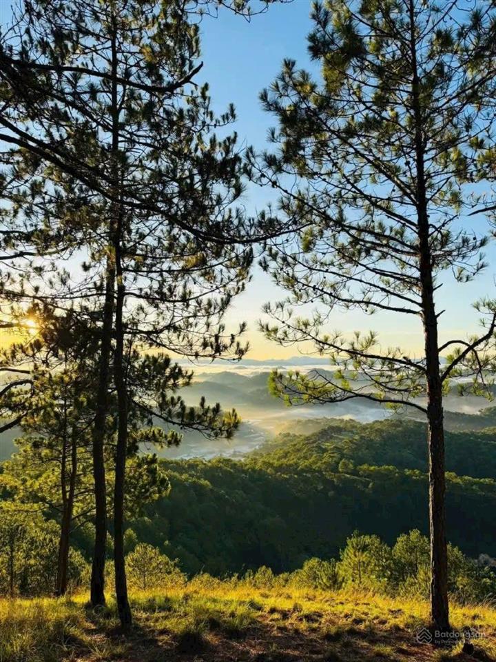 Lô đất nghỉ dưỡng view rừng thông xuân thọ đà lạt 1000m có 300m thổ cư 9 tỷ 8 giá tốt
