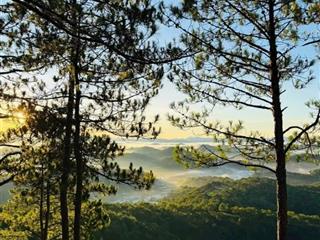 Lô đất nghỉ dưỡng view rừng thông xuân thọ đà lạt 1000m có 300m thổ cư 9 tỷ 8 giá tốt