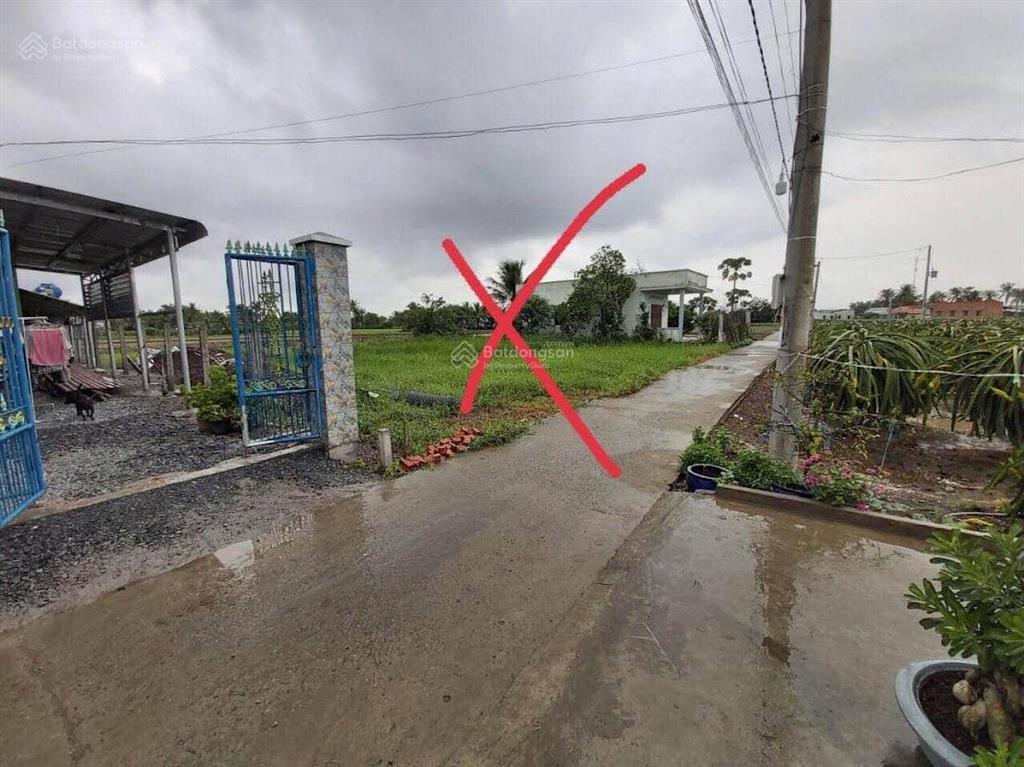 Chính chủ, ngộp, bán gấp đất tại lạc tấn, 125 m2 (5x25), pháp lý đầy đủ