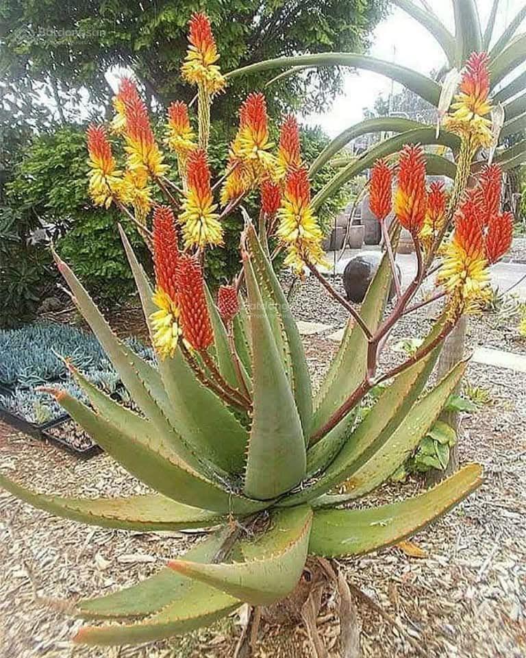 Nhà xưởng cho thuê trong kcn giá rẻ