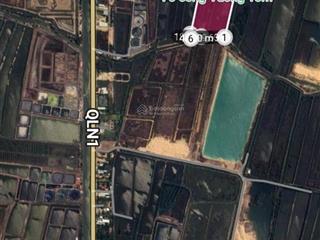 Bán 70 công đất vuông tôm, giá rẻ