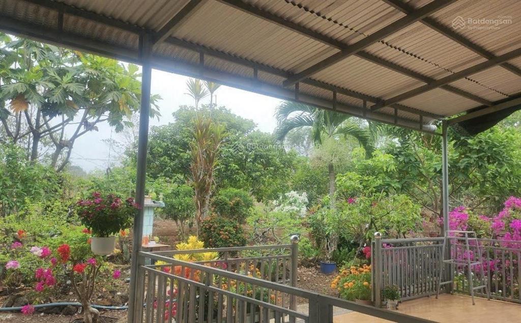 Bán đất tại xuân lập  hằng gòn, giá ưu đãi 3,2 tỷ, diện tích 2000m2