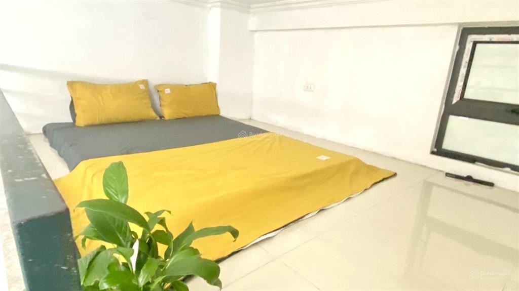 Cho thuê ccmn thang máy trần thái tông giá 3tr9