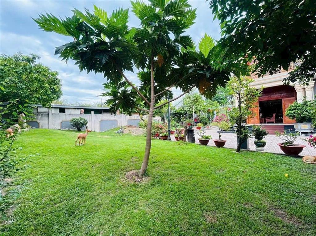 Bán gấp biệt thự mặt tiền nguyễn văn thành định hòa 1524m từ 42 tỷ giảm 38 tỷ giờ còn 30 tỷ