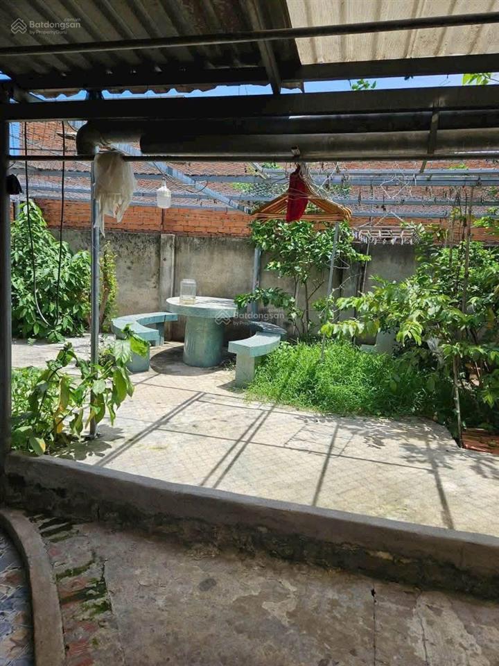 Bán nhà cấp 4 hẻm 453 lê hồng phong, phú lợi tp. hcm diện tích 207m2 không gian rộng