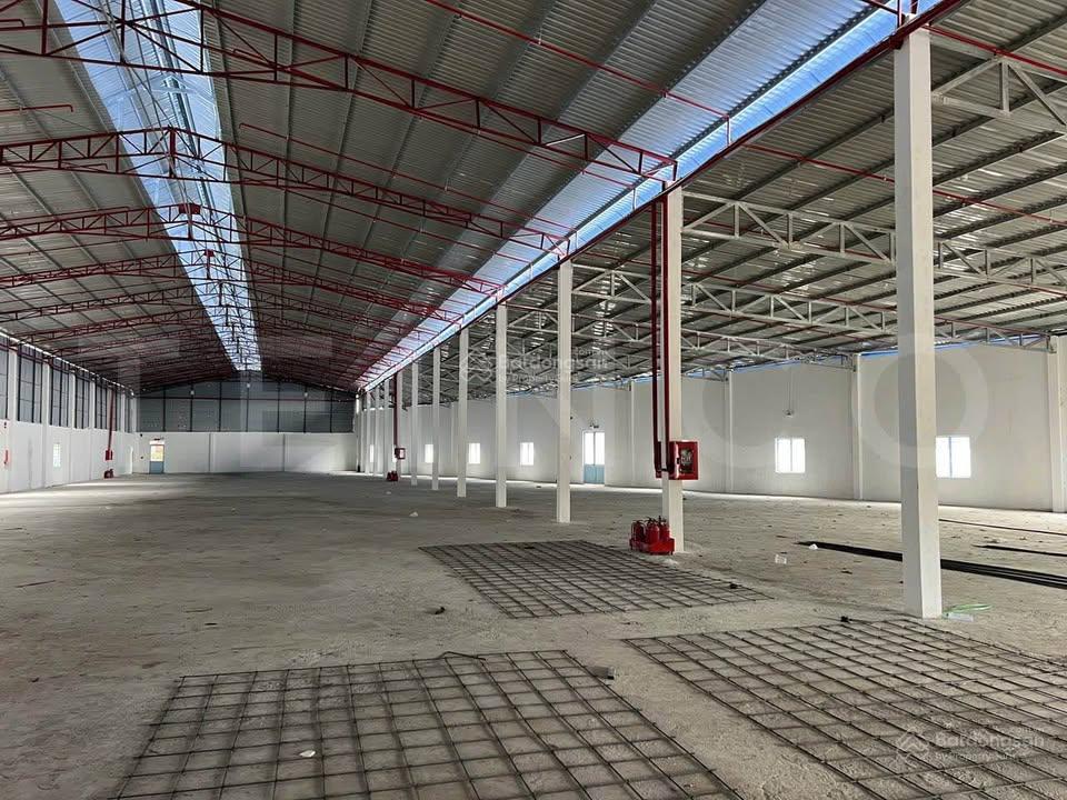 Cho thuê kho xưởng 1000m2 đường hòa bình, đường container, có pccc