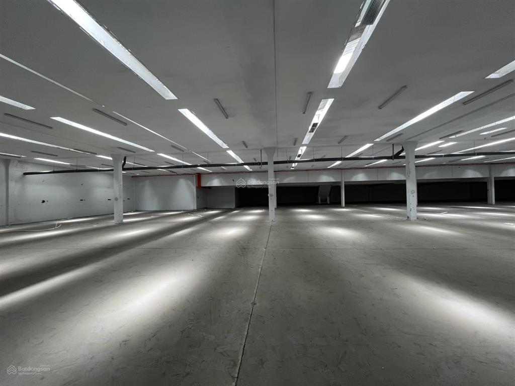Cho thuê kho xưởng 20.000m2 tây thạnh, kcn tân bình có ngăn lẻ cho thuê