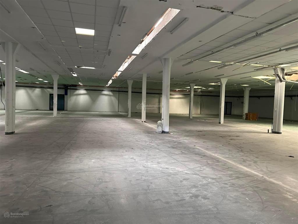 Cho thuê kho xưởng 20.000m2 tây thạnh, kcn tân bình có ngăn lẻ cho thuê