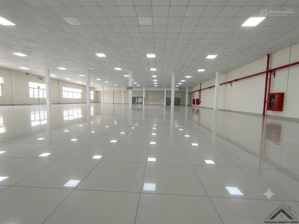 Cho thuê cụm kho xưởng 650m2 hòa bình, tân phú, đường công