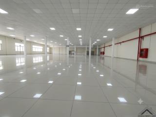 Cho thuê cụm kho xưởng 650m2 hòa bình, tân phú, đường công