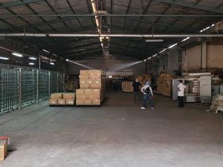 Cho thuê cụm kho xưởng 8000m2 phan văn hớn, quận 12 có pccc