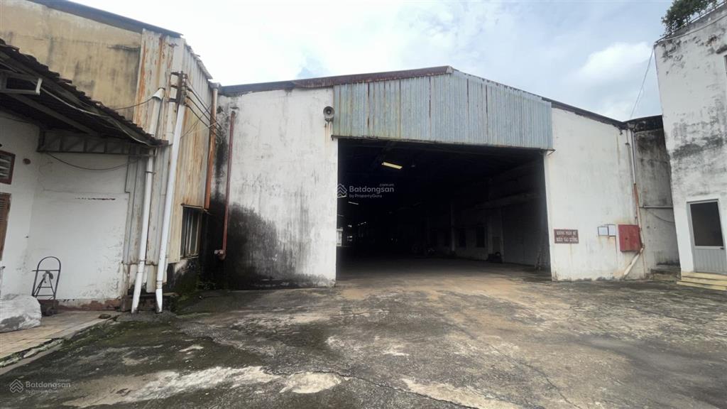 Cho thuê cụm kho xưởng 8000m2 phan văn hớn, quận 12 có pccc