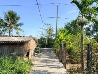 Chính chủ cần bán 516m2 đất lúa có sẵn 200m2 thổ cư tại ấp 2  3 phước lợi  bến lức  long an