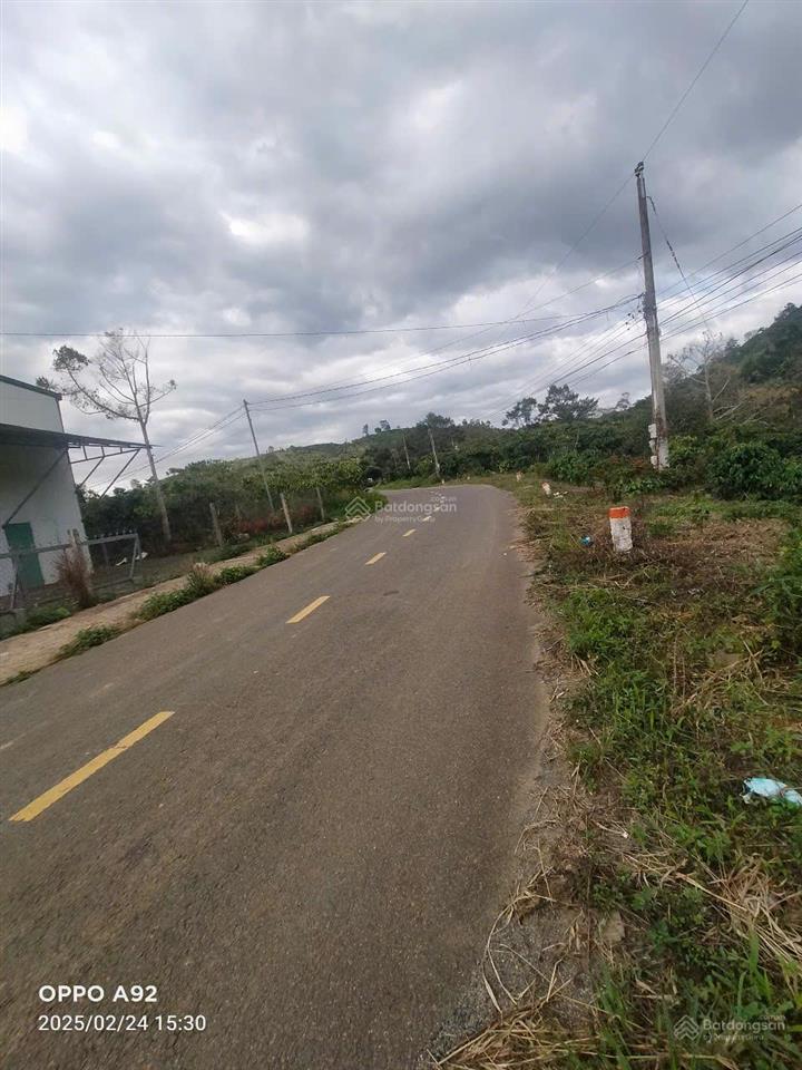Cần bán gấp đất thổ cư đang kinh doanh dịch vụ thể thao cho dòng tiền tốt tại tân lạc