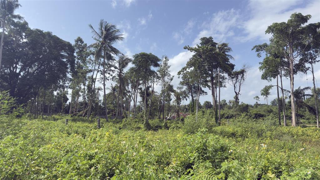Bán 1.000m full tmdv ông lang tây cách biển 1km giá 9,5 tỷ