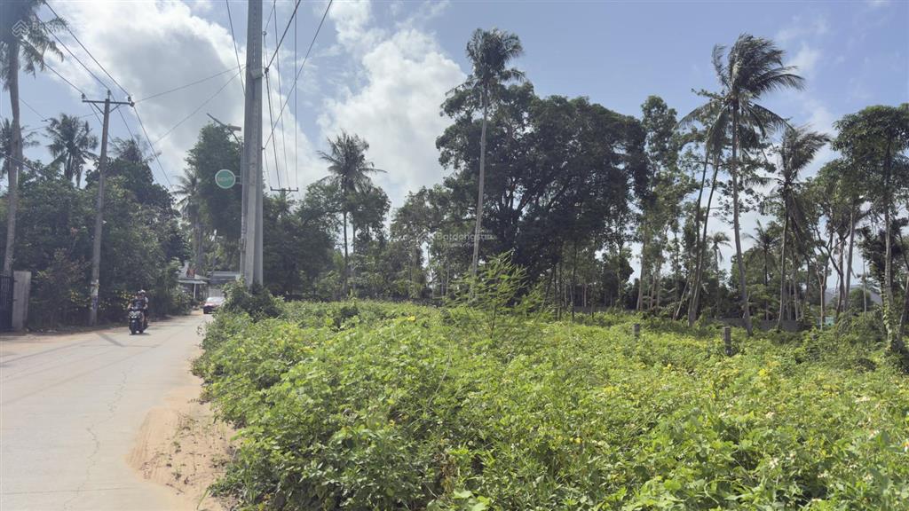 Bán 1.000m full tmdv ông lang tây cách biển 1km giá 9,5 tỷ