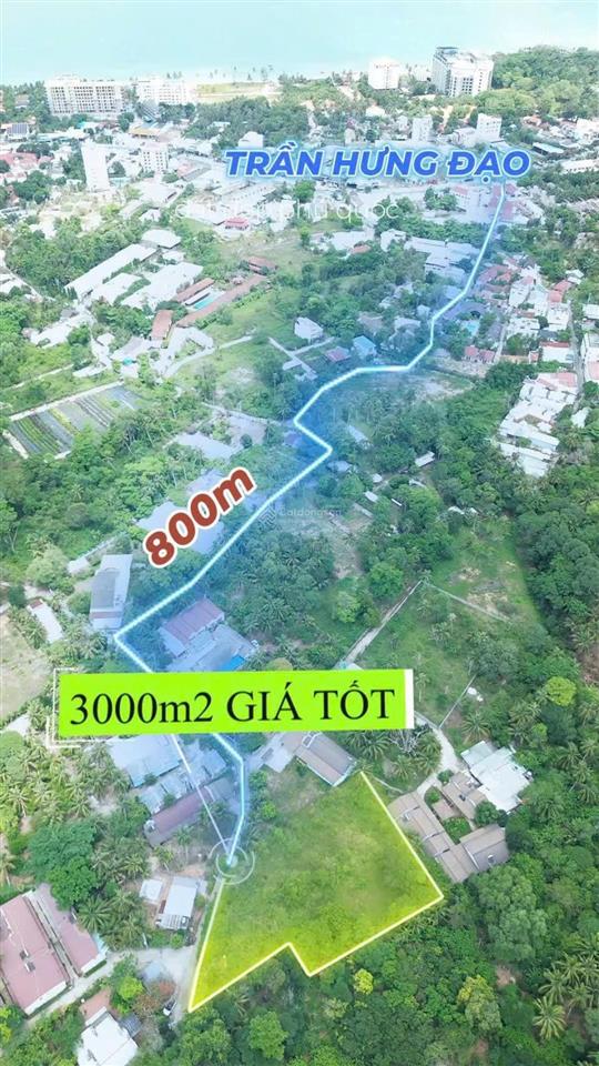 Quỹ hàng đẹp cửa lấp trần hưng đạo | gần biển, giá đầu tư, pháp lý rõ ràng tài chính đa dạng