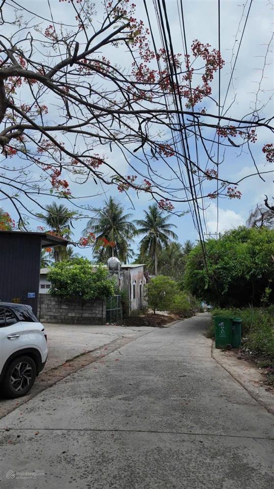 Bán 3.000m2 đất phố tây cửa lấp qh đất ở chỉnh trang mt 51m giá chỉ 15tr/m2