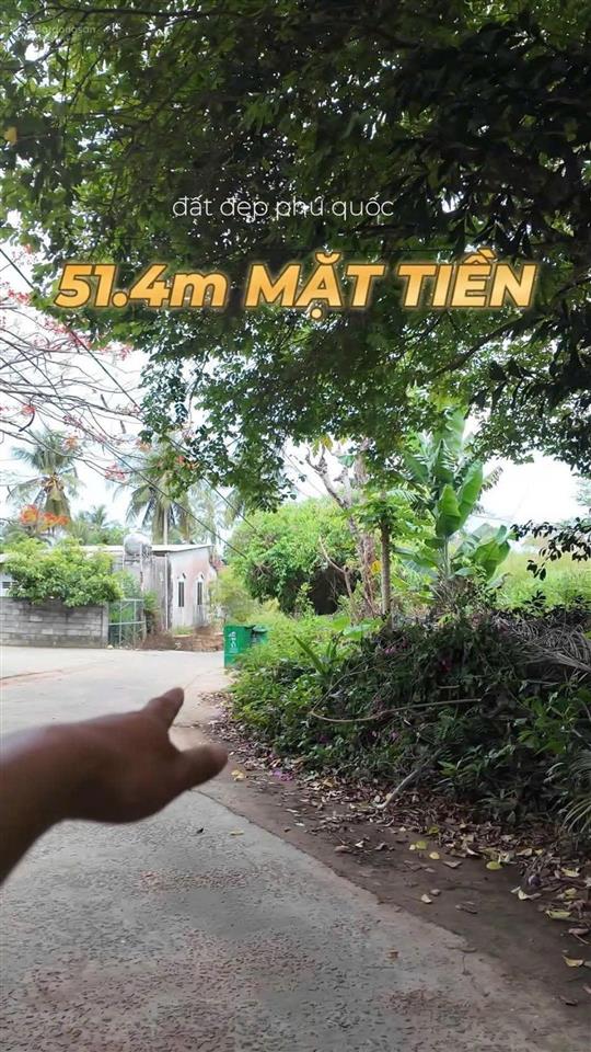 Bán 3.000m2 đất phố tây cửa lấp qh đất ở chỉnh trang mt 51m giá chỉ 15tr/m2