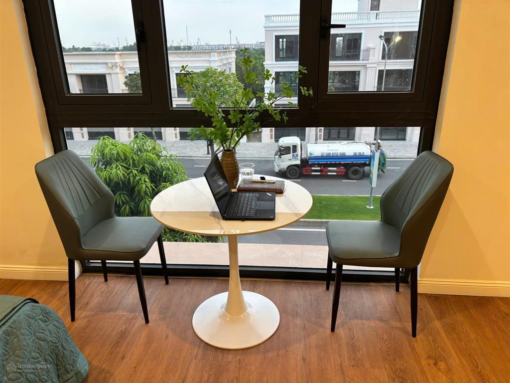 Cho thuê cc mini tại vinhomes royal island, 6 triệu vnd, 45m2, 1pn, 1wc, đầy đủ nội thất