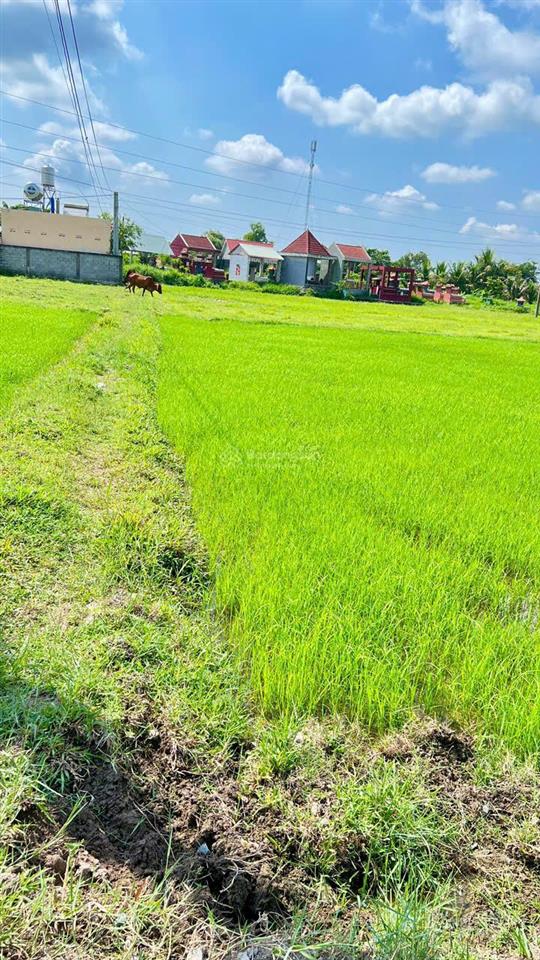 Bán 1 công đất ruộng huyện đức hòa, long an