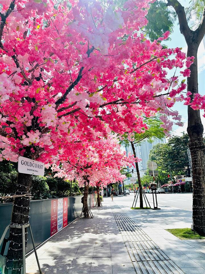 Bán studio goldcoast nha trang, sổ đỏ lâu dài vị trí trung tâm, giá tốt