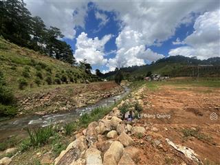 Bán đất hơn 1 hecta có suối view rừng thông, ngoại ô thành phố đà lạt