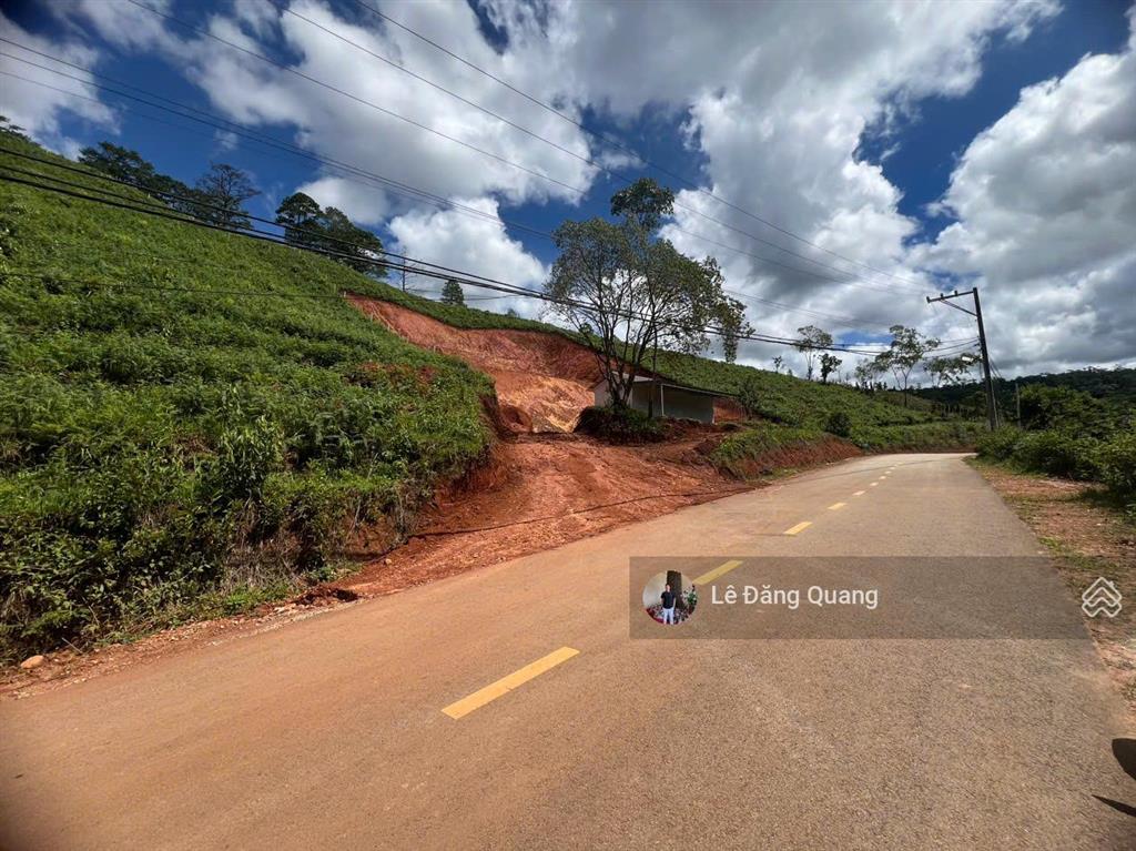 Bán đất hơn 1 hecta có suối view rừng thông, ngoại ô thành phố đà lạt