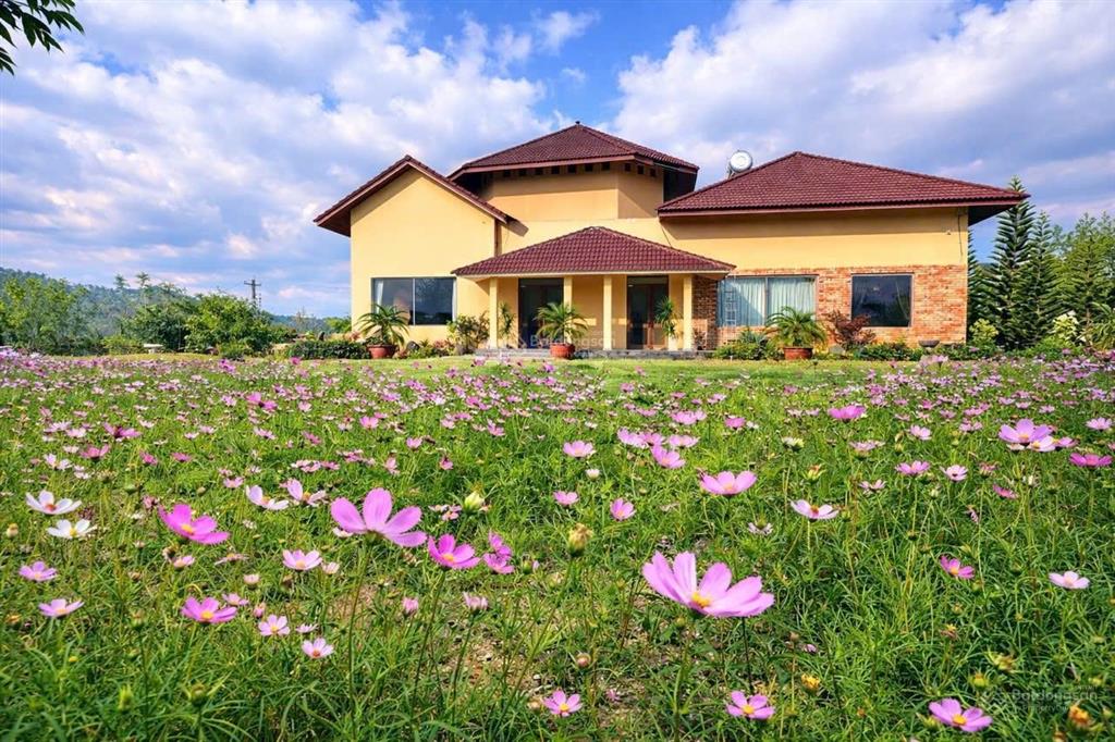 Bán biệt thự châu âu ngoại ô view toàn cảnh lạc dương, đà lạt, lâm đồng