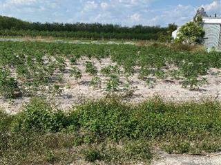 Bán gấp 1 cặp đất thổ cư  xây trọ 514m2 giá 650tr.