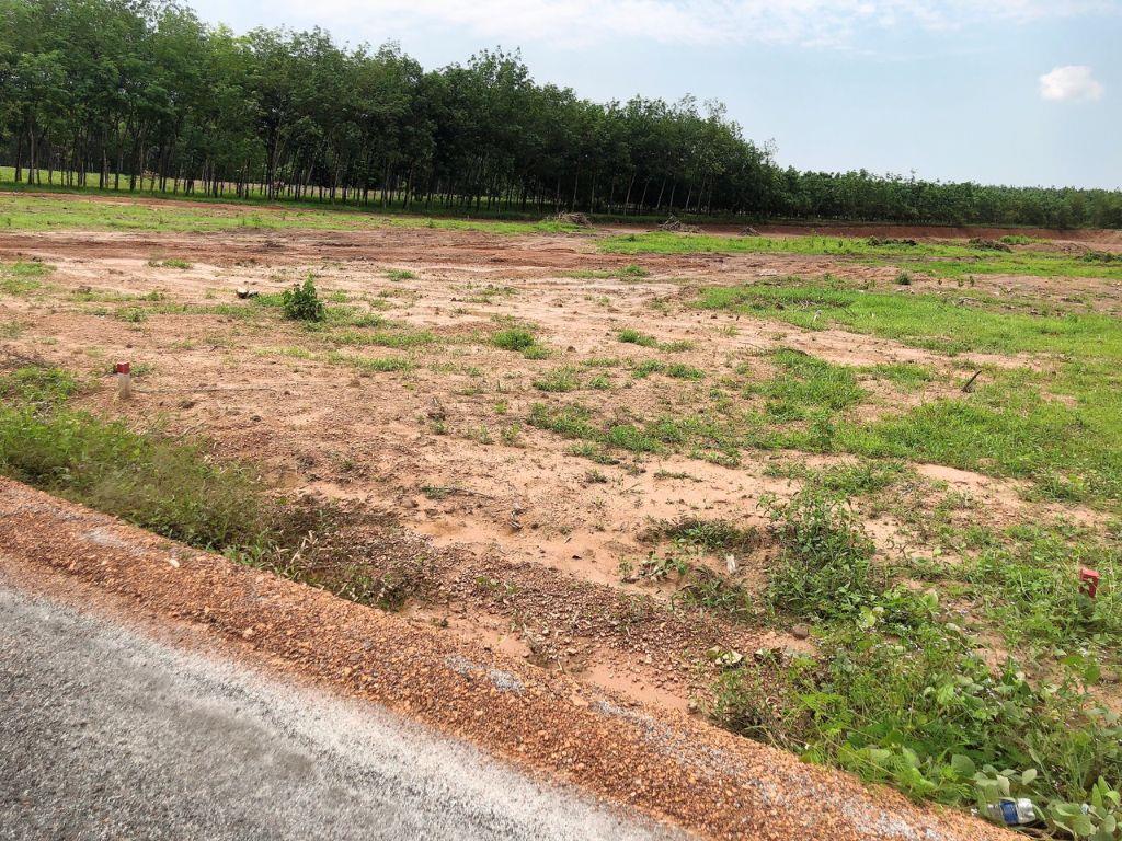 BÁN 2 SÀO ĐẤT 2.000M2 CÓ SHR, DÂN ĐÔNG GẦN TỈNH LỘ