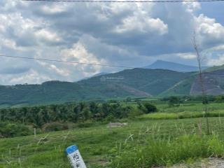 Bán đất ninh xuân ninh hòa 2 mặt tiền tl8, tách lô kinh doanh, đối diện kcn