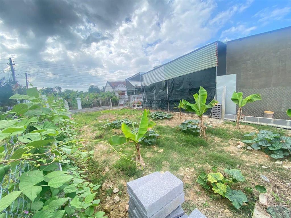 Bán đất (135.7m2, ngang 6.5m), mặt đường thành hồ 2, diên phước. giá 1.3 tỷ, gần tỉnh lộ 8 chỉ 400m