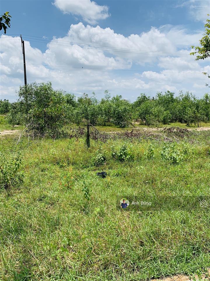 Cc bán nền biệt thự 510m2 mặt tiền đường 25c nguyễn ái quốc, đường cổng chính sân bay long thành