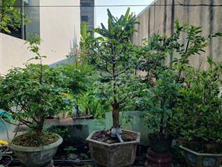 Bán lô mt đường diệp minh châu (đường 7m5) sát sông  hòa xuân. giá tốt 5,190 tỷ.  0942 992 ***