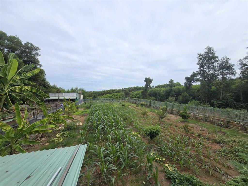 Bán nhà nghỉ dưỡng trị an, đồng nai