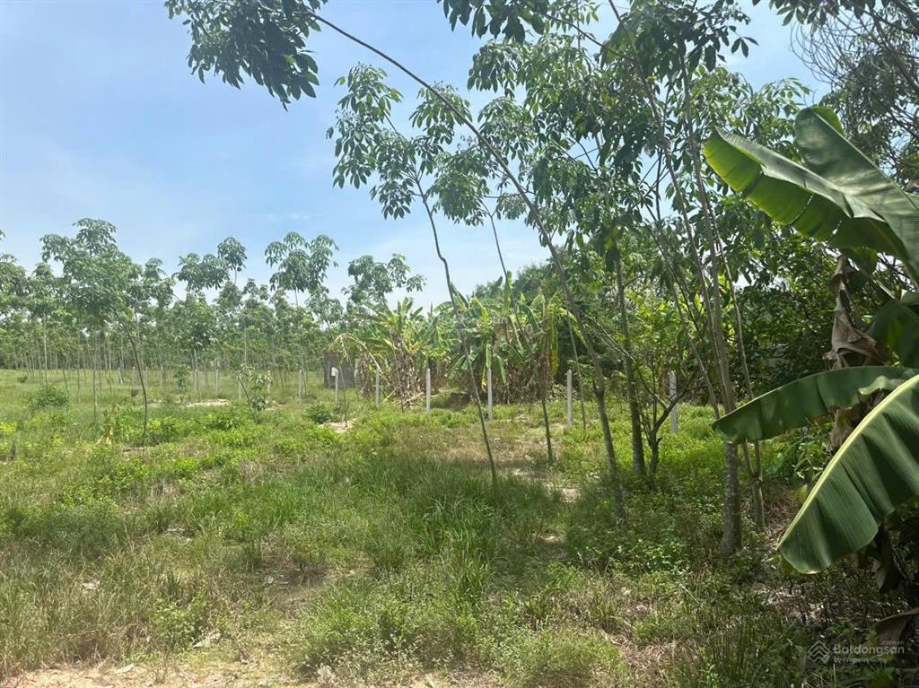 Chính chủ bán hơn 3.200m2 quy hoạch mở đường dt750 kết nối kcn cây trường