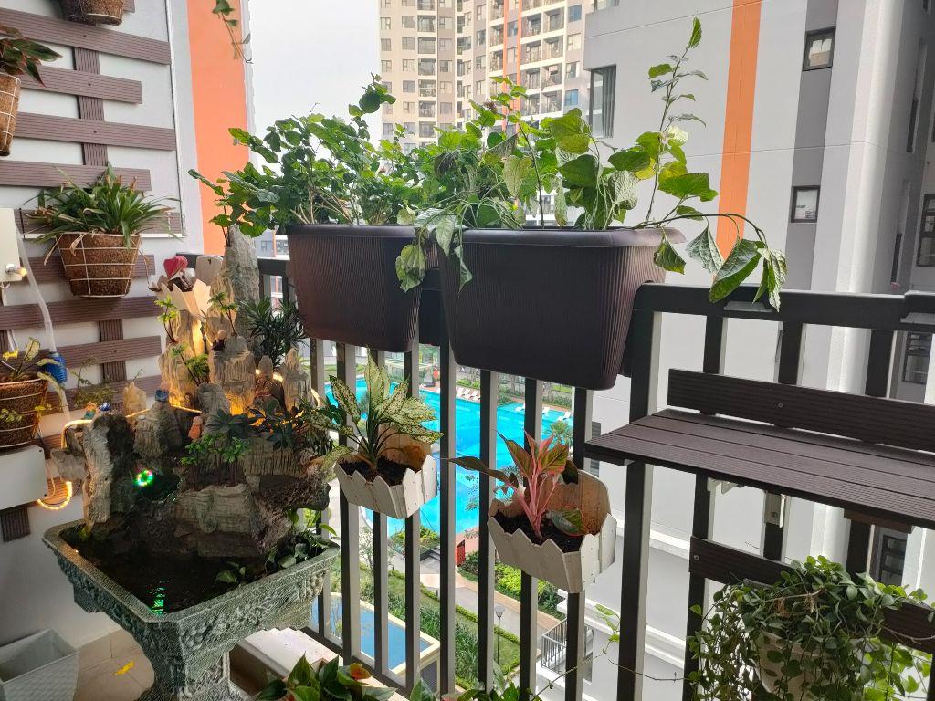 NÓNG SỐT NHẤT SAFIRA, CĂN HỘ 1PN+1 VỊ TRÍ ĐẸP VIEW THOÁNG RỘNG 3.1 TỶ FULL NỘI THẤT