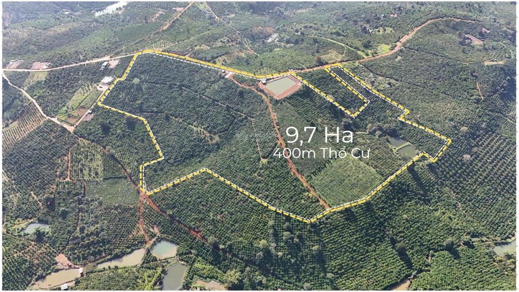 Cần nhượng lại 9,7 ha cafe đẹp gần nút giao cao tốc tại xã tân châu