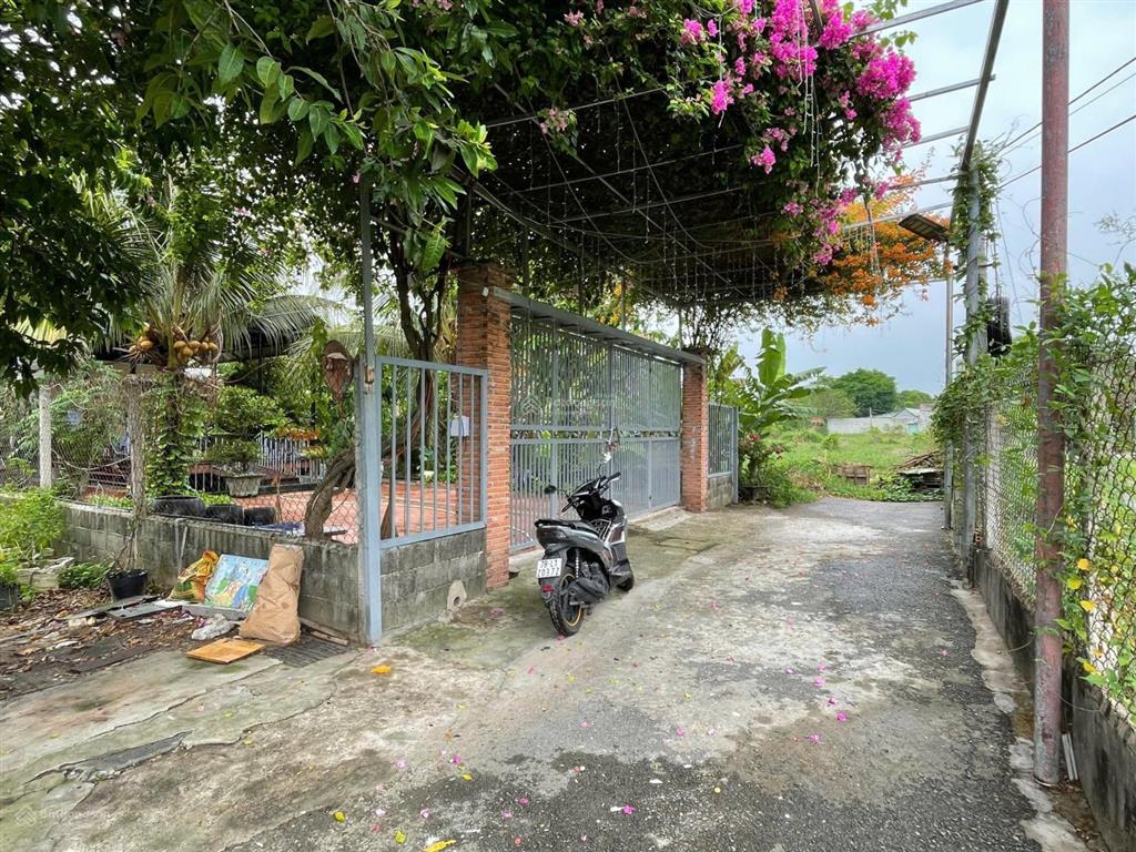 Nhà vườn full thổ có sẵn tiện ích gần chợ sáng tân thạnh đông, đường xe tải, 3,1 tỷ