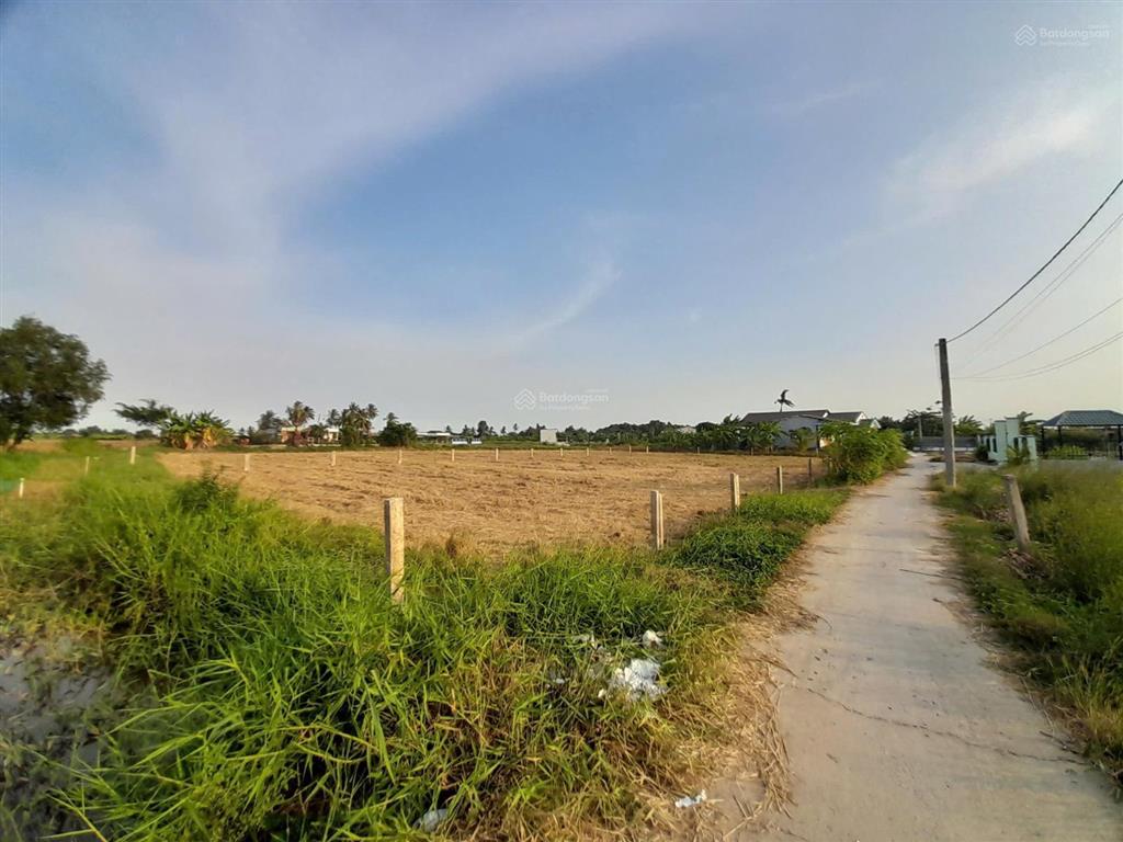 Đất đẹp 5x30  (147m2)  đức tân, huyện tân trụ, long an