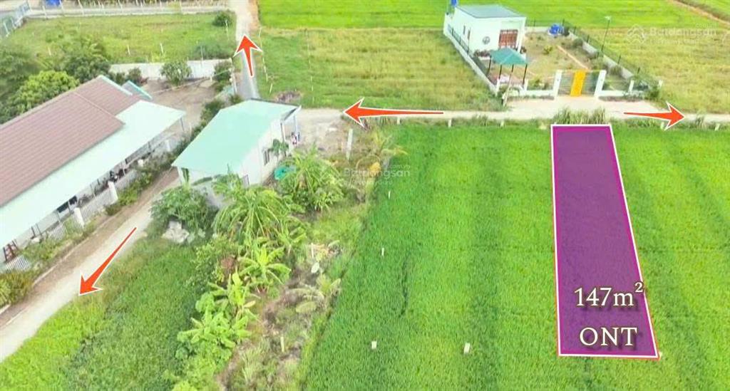 Đất đẹp 5x30  (147m2)  đức tân, huyện tân trụ, long an